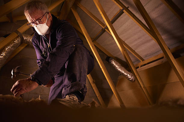 Trusted Rossville, IL Insulation Contractor Experts
