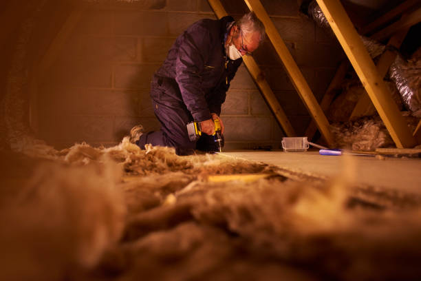 Best Geographic-Specific Insulation Services in Rossvle, IL