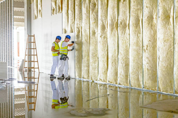 Best Residential Insulation in Rossvle, IL